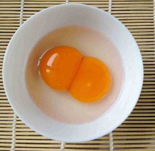 <b>广州试管代孕生女孩|泰安泰安供卵试管（威海供卵）</b>