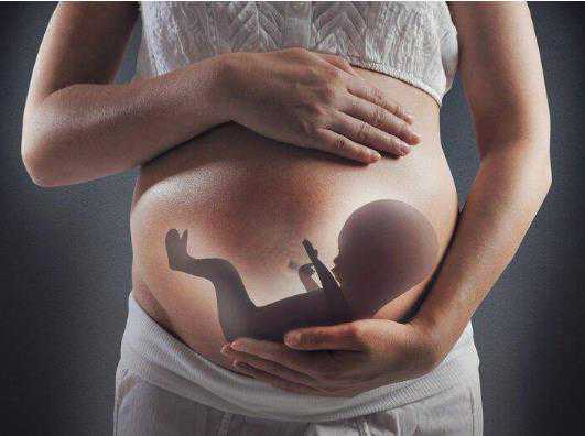 珠海试管助孕生子助孕机构