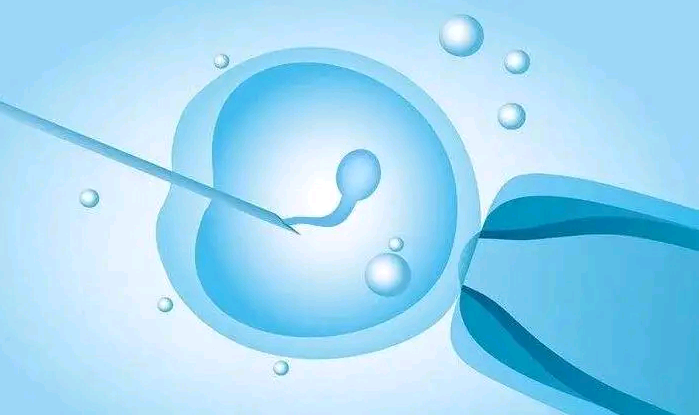 广州有没有正规的代孕|舟山市妇女儿童医院借卵生男孩成功率预估附2023借卵三