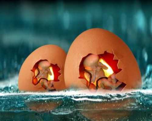 2022郑州供卵的私立机构最新发布，附供卵三代生男孩费用详情-医院收卵子吗