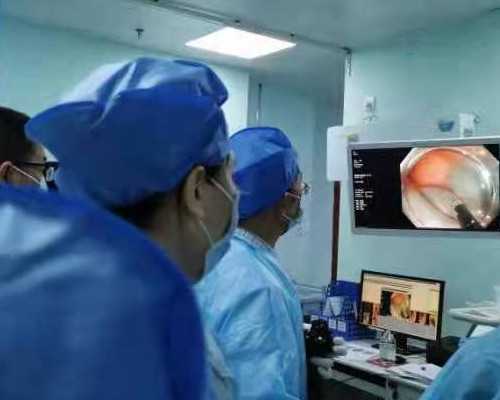 48岁做供卵试管_2026
代怀价格表,北京试管包男孩-梦见核桃生男生女呢_试管移植