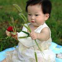 广州怎么代孕合法_湖北试管婴儿补助政策最新消息，附2022三代试管生男孩费用