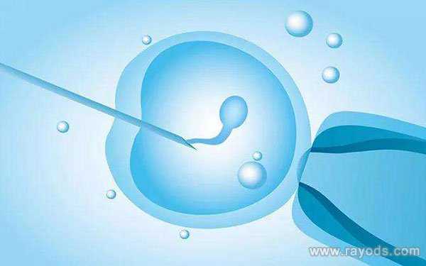 借卵试管中心_2022兰州大学第二医院试管婴儿成功率一览，附2022助孕成功率预估
